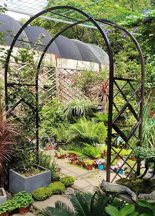 Шпалера арочная